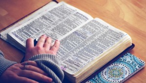 Messe du 2 décembre 2018 à Courtenay