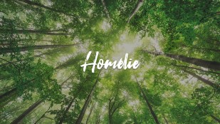 Homélie de la messe du 7 avril 2019 à Schaerbeek