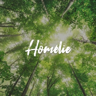 Homélies