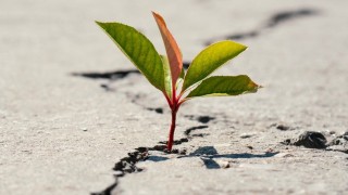 Comment retrouver l’Espérance ?