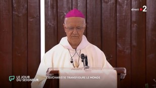 L'eucharistie transfigure le monde | Homélie du 19 juin 2022 à Saint-Denis (La Réunion)