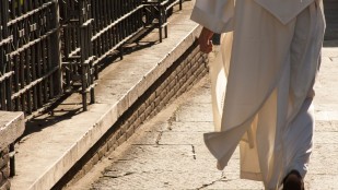 Qui sont les Dominicains ?