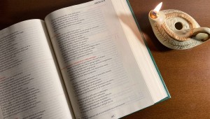 Homélie du 25 décembre 2024 à Notre-Dame de Paris