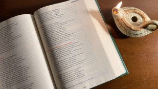 Devenir des étoiles dans le ciel de Dieu | Homélie du 16 février 2025