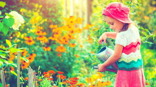 Laudato Si', plaidoyer pour une écologie intégrale