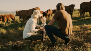 Une terre et des hommes
