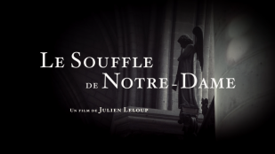 Notre-Dame de Paris : un documentaire exceptionnel sur la restauration de l’orgue