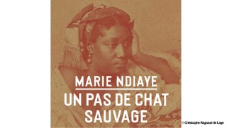 [Festival d'Avignon 2024] Nathalie Dessay sur les pas d’Ana María Loreto Martínez, la Malibran des Antilles