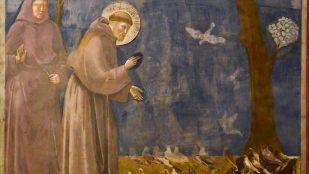 Saint François d'Assise : année jubilaire pour les 800 ans de sa mort