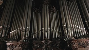 Le souffle de Notre-Dame