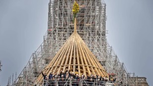 Rebâtir la charpente de Notre-Dame : une porte vers le ciel