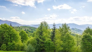 Laudato Si : 10 ans après