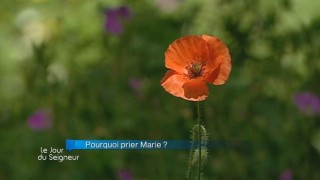 Si j’ai bien compris