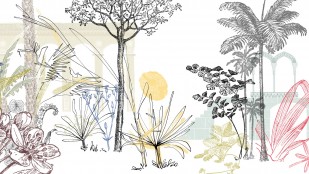 Jésus. Les traits d'une Parole