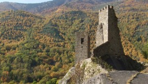 Messe du 20 juillet 2025