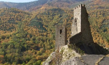 Messe du 20 juillet 2025