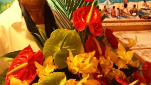 Dame de mon île, chant de la délégation de La Réunion-Rosaire 2017