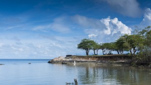 Comment s'adapter au changement climatique en Outre-mer