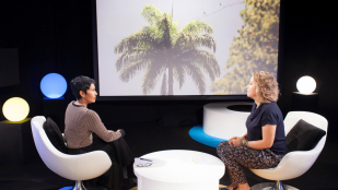 Gilets jaunes : la forte mobilisation du peuple réunionnais