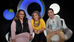 Les Évasanés ou les évacués sanitaires d'Outre-mer