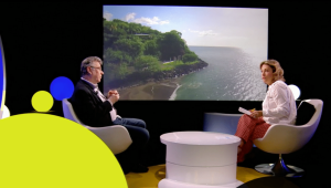 Chlordécone : les ravages de ce pesticide aux Antilles