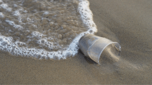 Pollution plastique dans les océans : la lutte d'OceaNOplastic