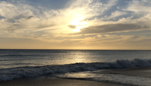 Notre vie est-elle écrite à l'avance ?