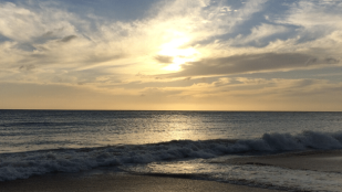 La Création en débat