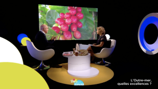 Agriculture, des produits d’exception made in Outre-mer