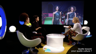 Quelle beauté pour quelle culture ?