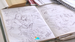 Planches, bulles et crayons en Outre-mer (Rediffusion)