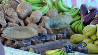 L'Outre-mer en marche vers l'autonomie alimentaire