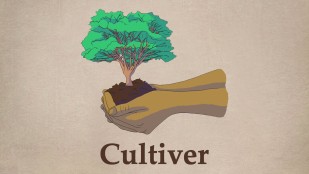 Cultiver (la terre)