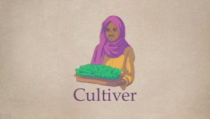Cultiver (Islam)