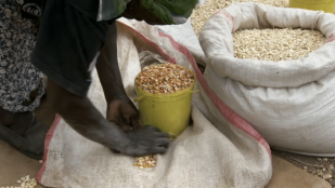 Les moissons du futur de Marie-Monique Robin