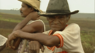Nordeste : Le cri des sans-terre