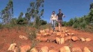 Mission Madagascar avec la Délégation Catholique pour la Coopération