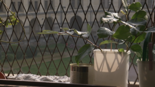 Au-delà des murs - Une présence spirituelle en prison