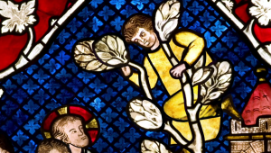 Paroles de vitrail - Zachée