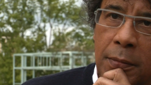 Laurent Voulzy : Un chanteur méditatif