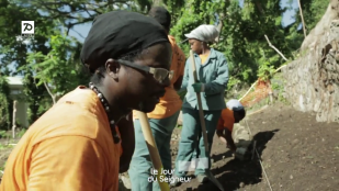 Cultiver son jardin professionnel en Guadeloupe