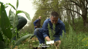 Moines et cultivateurs bio à l'abbaye de Maylis