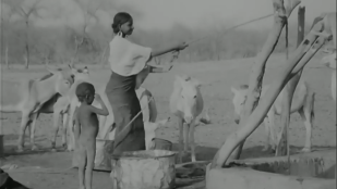Niger. Les hommes sans eau - 2/2 Puits