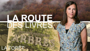 la route des livres - La forêt