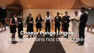 Les anges dans nos campagnes - Chœur Pange Lingua